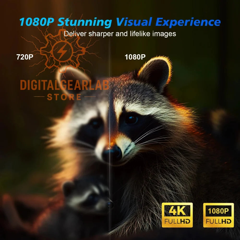 1080p full hd raccoon camera